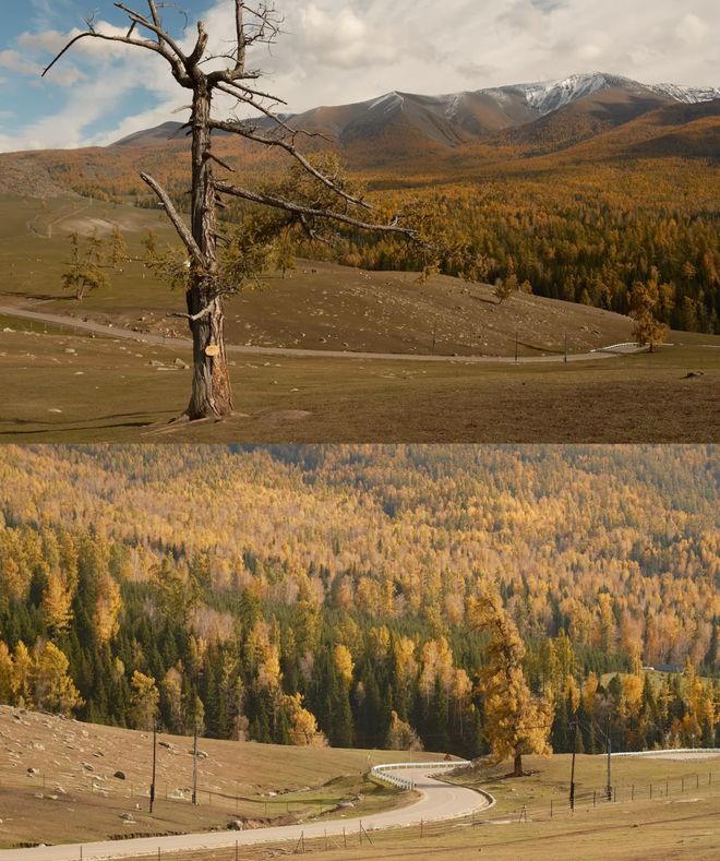 排10月报团游新疆16天小团安排纯玩开元棋牌10月报团游新疆十六天最佳安(图2) 排10月报团游新疆16天小团安排纯玩开元棋牌10月报团游新疆十六天最佳安(图2)